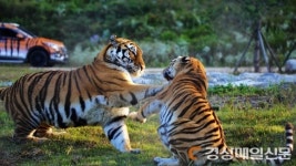 백두대간수목원 “비대면 진로체험 j0b 스케치 신청하세요”