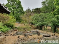 ‘역사ㆍ문화의 도시’ 성주, 문화재 관리ㆍ보존에 박차