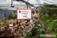 예안면 착한행진…착한가게ㆍ착한가정 계속 이어져