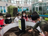 영주가흥초병설, 예천곤충박물관 현장체험학습 실시