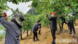 봉화군 봉성면사무소, 일손부족 농가 지원