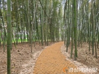 경주 숨은 명소 ‘오릉’ 대나무 숲 새 단장