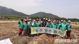 달성군 현풍읍 새마을부녀회,  영농봉사활동 실시