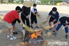 영천 자천초, 밀사리 체험활동 진행