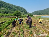 군위 삼국유사면 남여새마을協, 농촌일손돕기