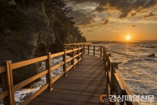 <특집> 포항 대표 관광지 호미반도 해안 둘레길…파도소리 벗 삼아 힐링 걷기 황홀한 광경ㆍ감동이 가득~