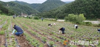 봉화군 소천면사무소, 일손부족 농가 돕기