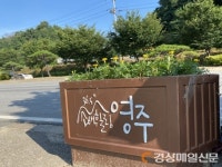 영주시, 메리골드 꽃 식재