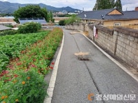 김천시, 우리 마을이 달라졌어요