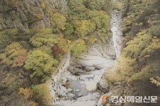 겸재가 오늘날을 살았다면 어떤 작업 했을까?