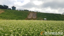 “미투리와 메밀로 어우러지는 안동문화관광단지로 오세요”