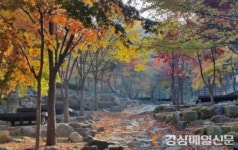 달성군시설관리공단, 추석연휴 기간 비슬산 자연휴양림 정상운영