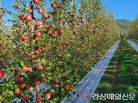 포항시, 2022년 과실전문생산단지 국비공모사업비 39억원 확보