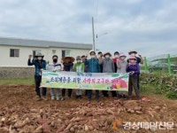 칠곡군 기산면사무소, 사랑의 고구마 수확