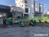 포항 효곡동, 새마을부녀회 공영주차장 환경정비