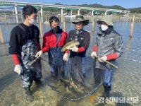경북 민물고기연구센터, 슈퍼푸드 ‘연어’ 첫 포획