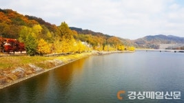 “깊어가는 가을의 정취 안동서 만끽해요”