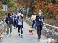 반려견과 함께 ‘경북으로 떠나는 댕댕열차’