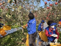 바르게살기운동 안동시협의회, 농촌일손돕기