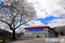 고령군, 상반기 대가야교육원 수강생 모집