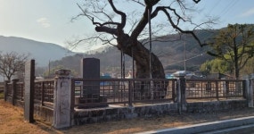 <역사의 현장>의병장 곽재우의 발자취를 따라서 -1