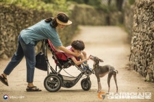 경북도 동물위생시험소, 사람과 동물의 조화로운 공존 모습 ‘찰칵’