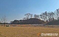 경주, 道ㆍ문화재청과 월성 수목 810주 벌채