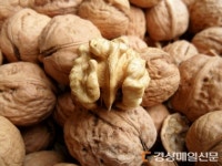 ‘김천호두’ 명품 특산품 입증…산림청 임산물 PGI 59호 되다