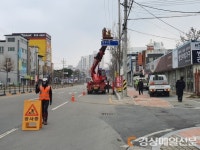 안동시, 주요 도로변 가로수 전정 실시