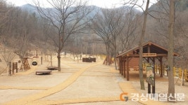 “대흥동 유아숲체험원에서 자연 체험을”