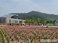 <포토> 안동포타운 직조놀이터ㆍ튤립축제 북적