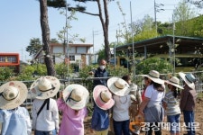 청송 파천초, 어린이날 100주년 기념행사