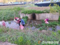 상주 화서면 금산1리 마을회, 환경정화 청결활동