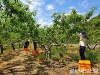 영덕군 달산면, 영농철 농촌일손돕기 실시