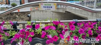 봉화군 석포면 청년회, 도로변 꽃길 조성