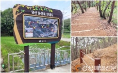 안동시 남선면, 덤산 등산로 정비