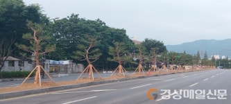 경산 관문 가로수 식재 아름답고 쾌적하게~ 중앙분리화단 개선 공사 시행