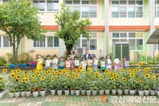 진보초등학교 참보배 해바라기 동산 축제 개최