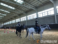 구미시설공단 ′구미시승마장′에서 기승능력인증 시험치고 인증서 받자