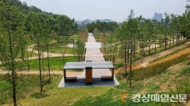 성당못 서편 ‘대구대표 도시숲’으로 탈바꿈