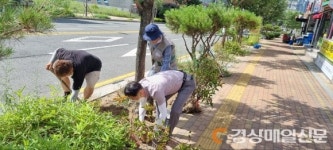 포항시 장량동, 법원로 주변 도심환경 개선