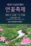 대구 안심창조밸리 연꽃마을 축제 개최