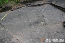 의성지질공원 공룡발자국 국제학술지 게재