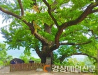 <역사의 현장>남양주 지역의 유적을 돌아보며