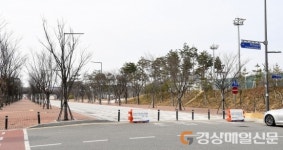 경북도 “도청 천년숲 동ㆍ서로 주말 차 없는 거리”