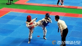 상주, 경북도지사기 태권도대회 개최