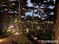 밤에도 걷고싶은 경주 황성공원, 빛으로 물드는  쾌적한 힐링명소
