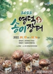 전국 최대 송이 생산 영덕, 3년만에 송이장터 열린다