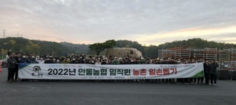 안동농협 직원, 생강수확 농촌 일손 돕기 ‘한마음 한뜻’