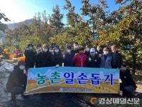 상주, 감 재배 농가 일손돕기 ‘구슬땀’